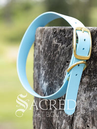 Biothane Waterproof Flat Collar