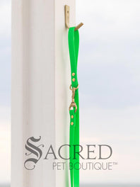 Biothane Waterproof Leash