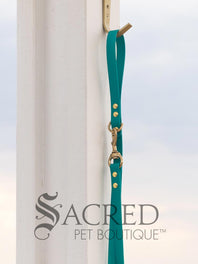 Biothane Waterproof Leash