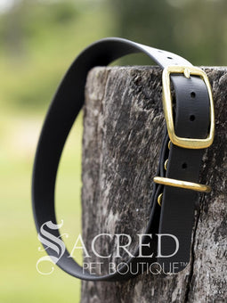 A blue Biothane waterproof flat collar with brass buckle and brass D ring for leash attachment, displayed on a wooden post. With a Sacred Pet Boutique Watermark.