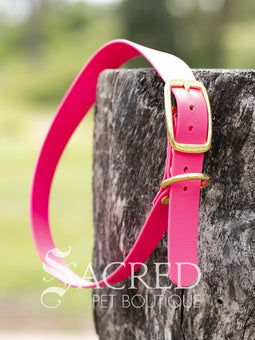 A blue Biothane waterproof flat collar with brass buckle and brass D ring for leash attachment, displayed on a wooden post. With a Sacred Pet Boutique Watermark.