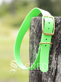 A blue Biothane waterproof flat collar with brass buckle and brass D ring for leash attachment, displayed on a wooden post. With a Sacred Pet Boutique Watermark.