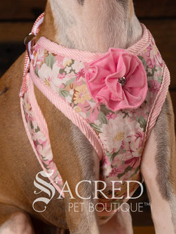 EasyGO pet harness