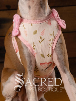 EasyGO pet harness
