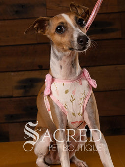 EasyGO pet harness