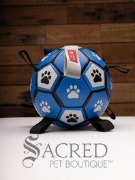 The Canine Care herding ball with tabs has a typical soccer ball pattern coloured in blue, white and black with paw prints in each pentagonal section. Tabs for carrying follow the circumference of the ball.