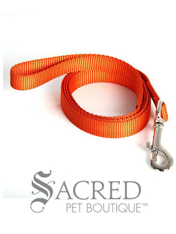 Everyday Dog Leash