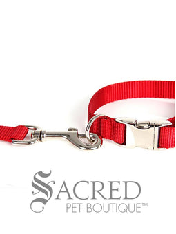 Everyday Dog Leash