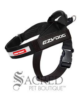 Dogs Ricky and Daisy wear black Express Harnesses, an Ezydog collar and leash. They are standing on rocks overlooking a valley with a river and more hills in the background. The velcro name tags are the custom Ezydog name tags that can be ordered.