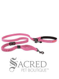 Road Runner Leash