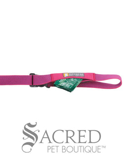 Flagline Dog Leash