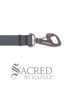 Flagline Dog Leash