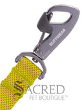 Flagline Dog Leash