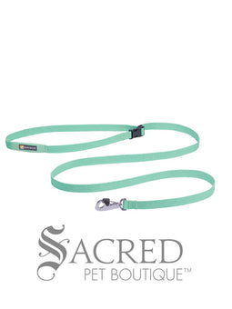 Flagline Dog Leash