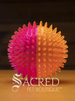 All three sizes of the squeaky spiky Galaxy ball are lined up for comparison. The balls are in two colour combinations - pink with orange, blue with green, and purple with black. All sitting on a wooden table with a wood plank background wall.