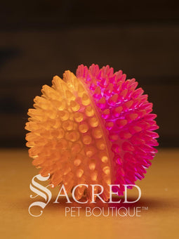 All three sizes of the squeaky spiky Galaxy ball are lined up for comparison. The balls are in two colour combinations - pink with orange, blue with green, and purple with black. All sitting on a wooden table with a wood plank background wall.