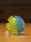 The squeaky spiky Galaxy balls are in two colour combinations. This small one is blue with green. It sits on a wooden table with a wood plank background wall.