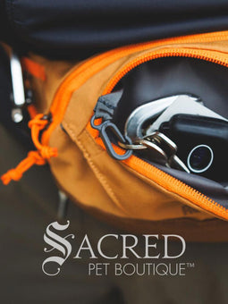 A person wearing a backpack with a blue and teal colour scheme is holding a treat in front of a dog's face. The dog is wearing a teal green harness and is attentive to the treat.