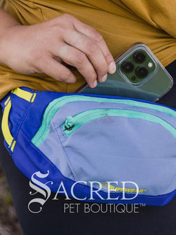 Home Trail Hip Pack