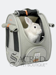 Person carrying a pet carrier with a cat inside, with a dog. surrounded by greenery, featuring the watermark 'Sacred Pet Boutique'.