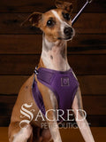 EasyGO pet harness