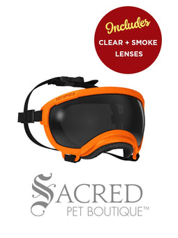 A black and white border collie dog wearing blue Rex Specs goggles is seen running in long dry grass. The goggles feature a green mirrored lens. The image has a white Sacred Pet Boutique watermark.