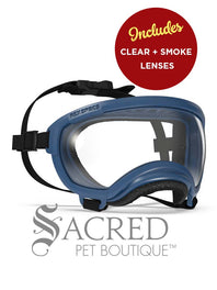 A black and white border collie dog wearing blue Rex Specs goggles is seen running in long dry grass. The goggles feature a green mirrored lens. The image has a white Sacred Pet Boutique watermark.