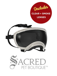 A black and white border collie dog wearing blue Rex Specs goggles is seen running in long dry grass. The goggles feature a green mirrored lens. The image has a white Sacred Pet Boutique watermark.