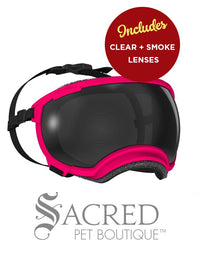 A black and white border collie dog wearing blue Rex Specs goggles is seen running in long dry grass. The goggles feature a green mirrored lens. The image has a white Sacred Pet Boutique watermark.