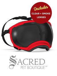A black and white border collie dog wearing blue Rex Specs goggles is seen running in long dry grass. The goggles feature a green mirrored lens. The image has a white Sacred Pet Boutique watermark.
