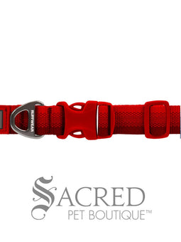 Front Range Collar