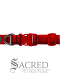Front Range Collar