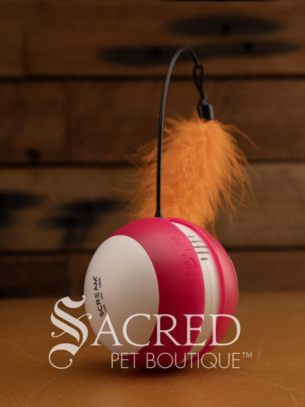 A pink and white tumbling ball with a thin, flexible black wire that extends upwards from the top centre and has an orange feather attached at the end of it. The brand Scream is printed in black on the white side of the ball. The toy is sitting on a wooden background with a white 'Sacred Pet Boutique' watermark.