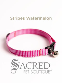Cat Collar