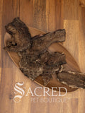 Venison Jerky