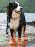 WagWellies Mojave