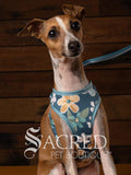 EasyGO pet harness