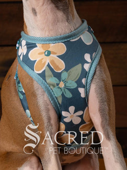 EasyGO pet harness