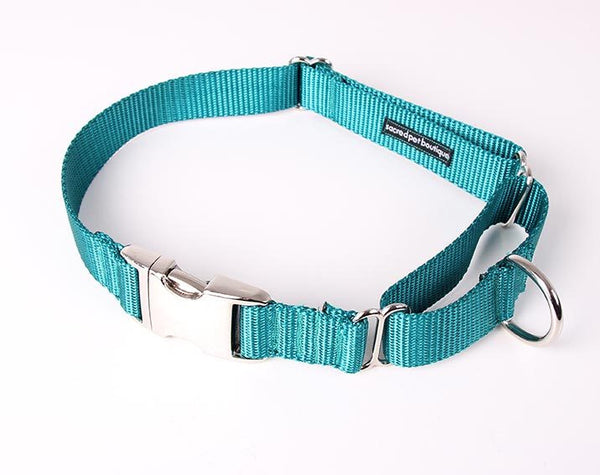 Martingale pet collars hotsell