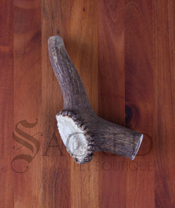 Deer Antler Chews