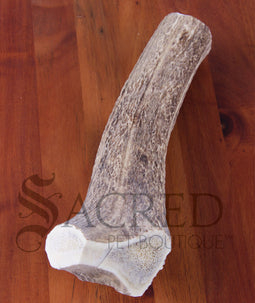 Deer Antler Chews