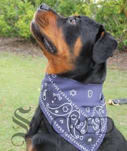 Bandana