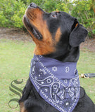 Bandana