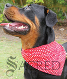 Bandana