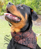 Bandana