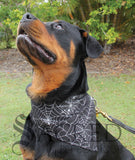 Bandana