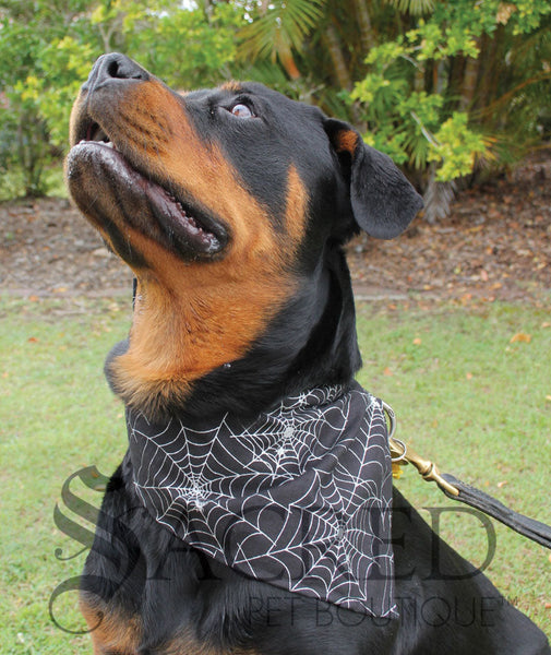 Bandana store dog harness