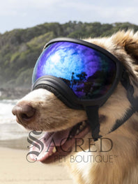 A dog in a beach setting is wearing black Rex Specs goggles with a blue mirror lens. In the reflection of the lenses you can see the sky and people. There is a grey sacred Pet Boutique watermark.