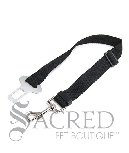 Car Seat Belt Restraint