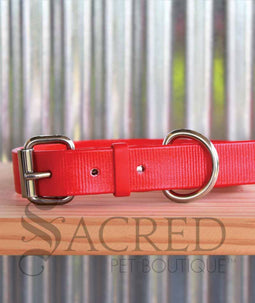A dog wearing a pink Coopers collar with a white background and a grey Sacred Pet boutique watermark.